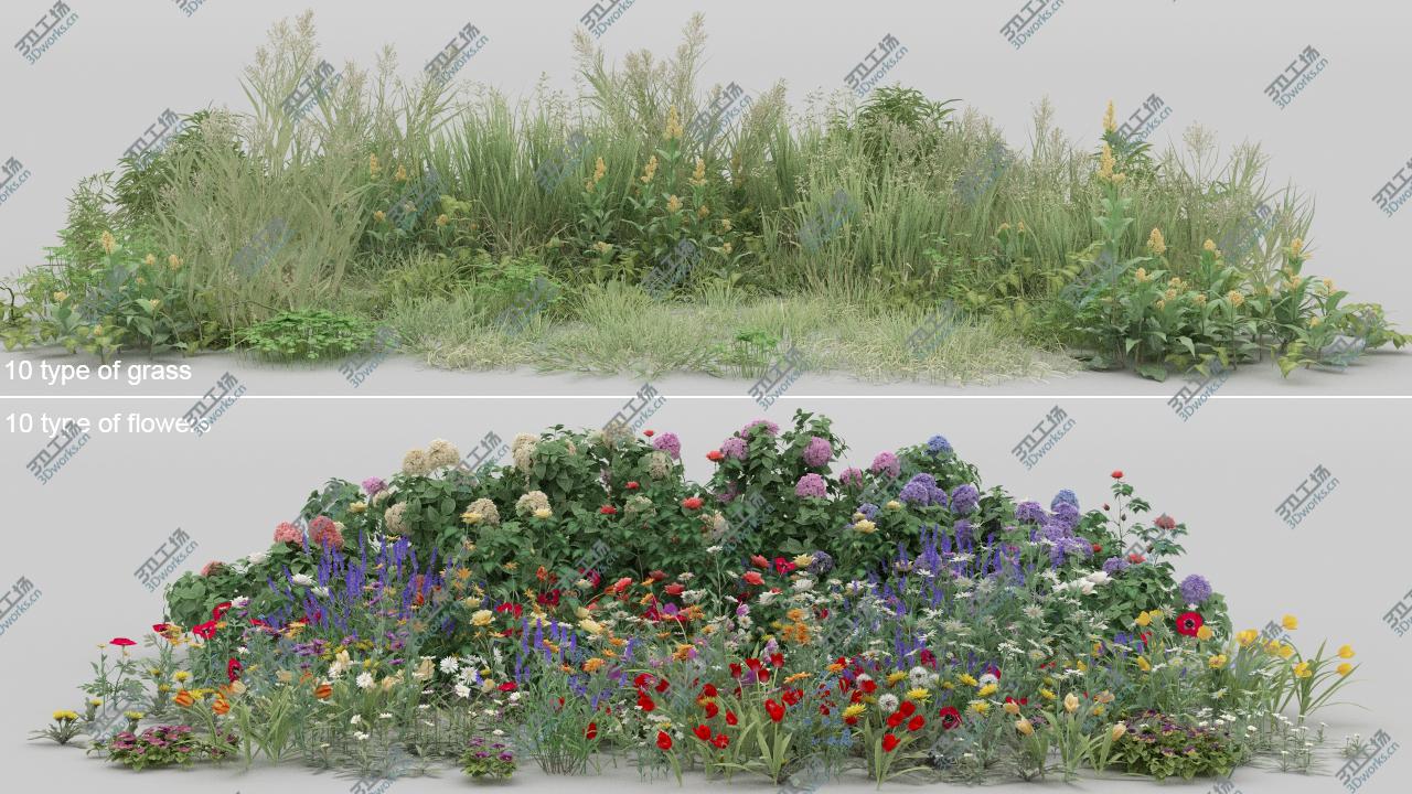 images/goods_img/2021040231/3D 20-20 Ground Plants/4.jpg